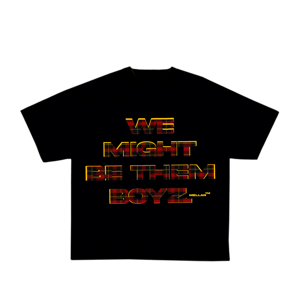WE MIGHT BE THEM BOYZ TEE (PLAID)