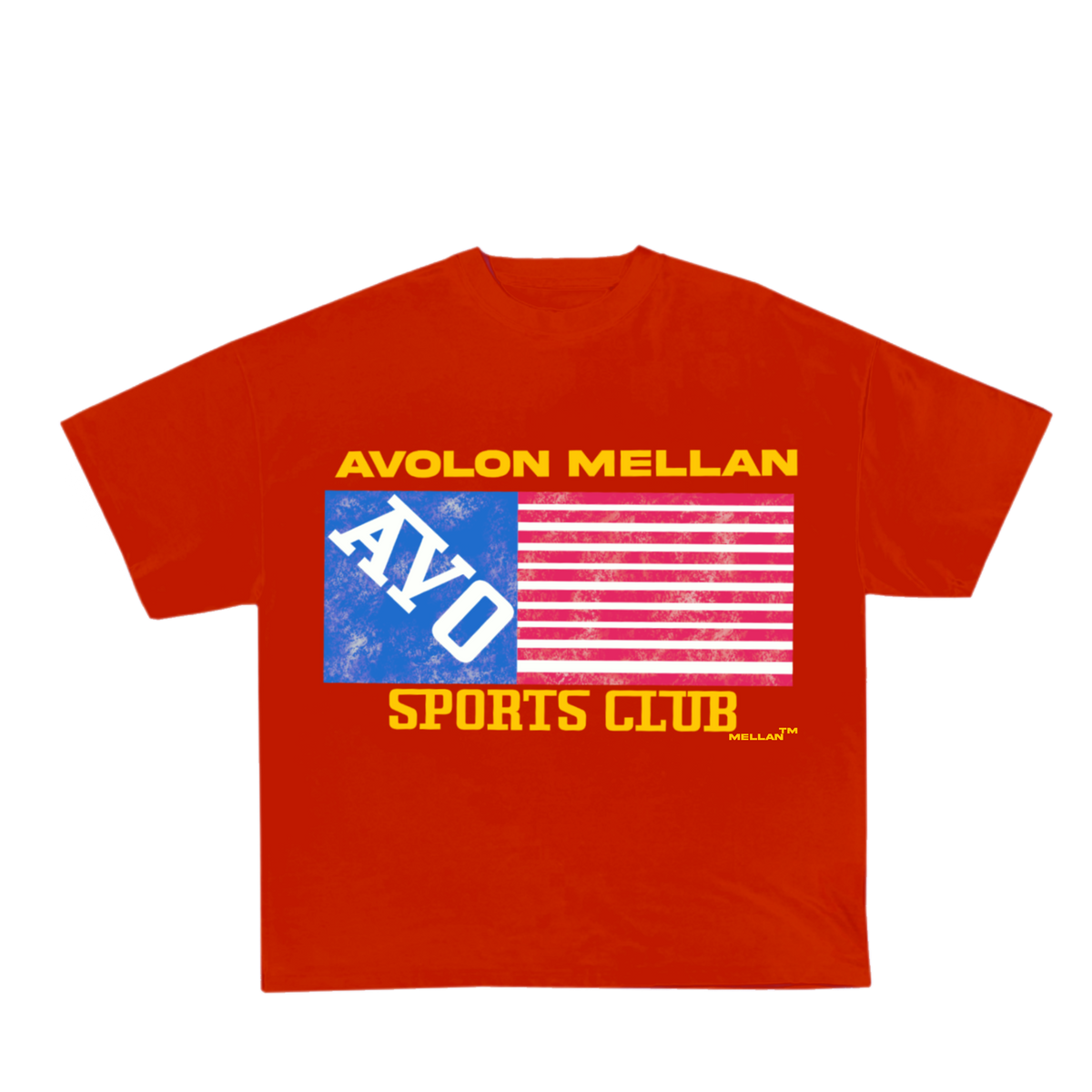 AVM USA FLAG TEE