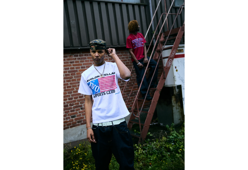 AVOLON AMERICAN FLAG TEE