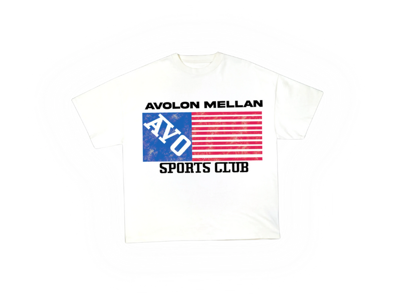 AVOLON AMERICAN FLAG TEE